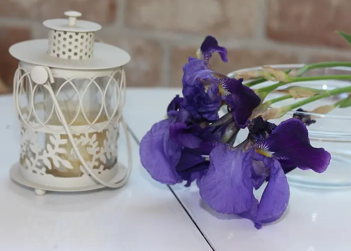 Milena Διαμέρισμα Ρόβινι